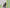 VERNER X Vera Vladimirsky X Oh So Arty - VERNER