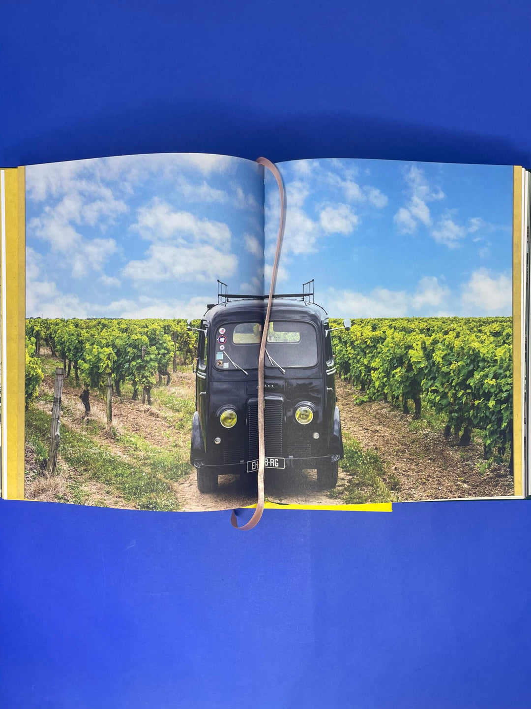 Accidentally Wes Anderson