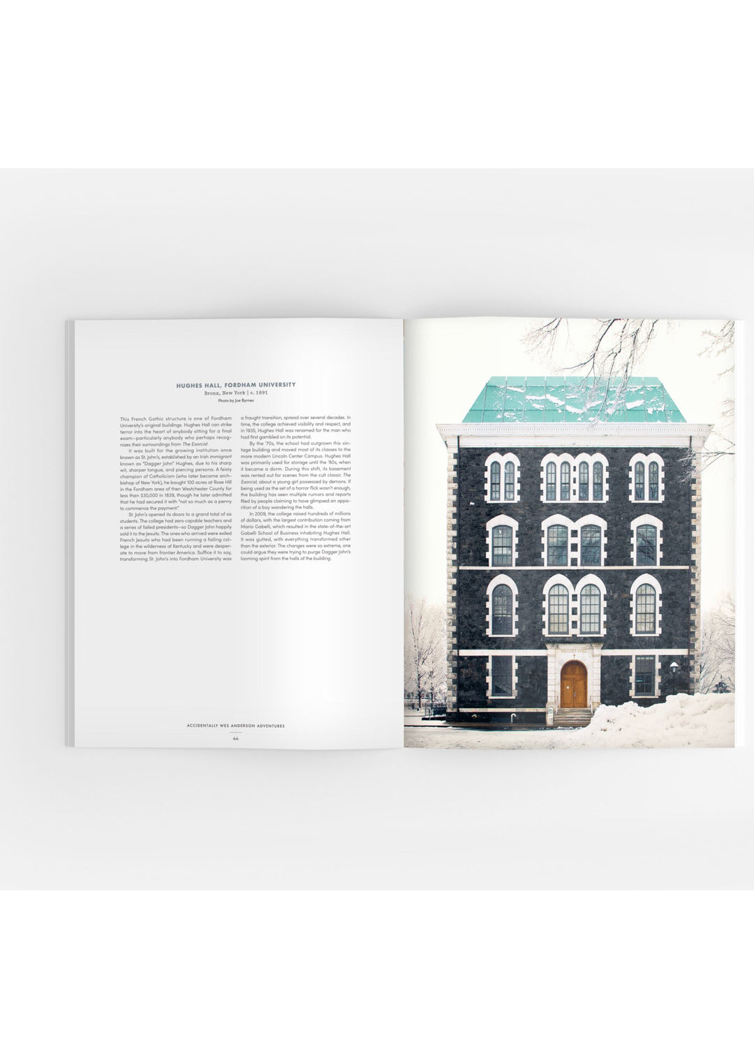 Accidentally Wes Anderson