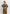DRIES VAN NOTEN | Gent Cape | Accessories