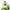 ATKINSONS | MINT & TONIC | Home&Living