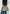 ACNE STUDIOS | Multipocket Bucket Suede | Handbags