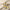 ATKINSONS | SICILY NEROLI | Home&Living