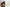 Soft Minimal | Soft Minimal | Books