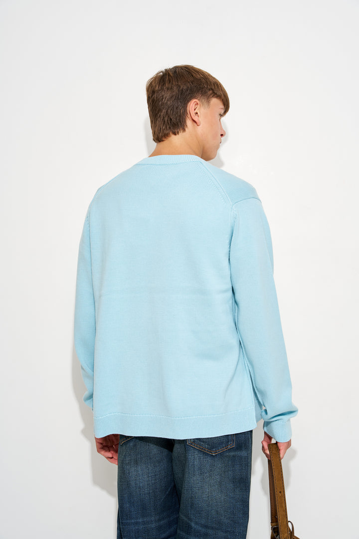 Crewneck cardigan